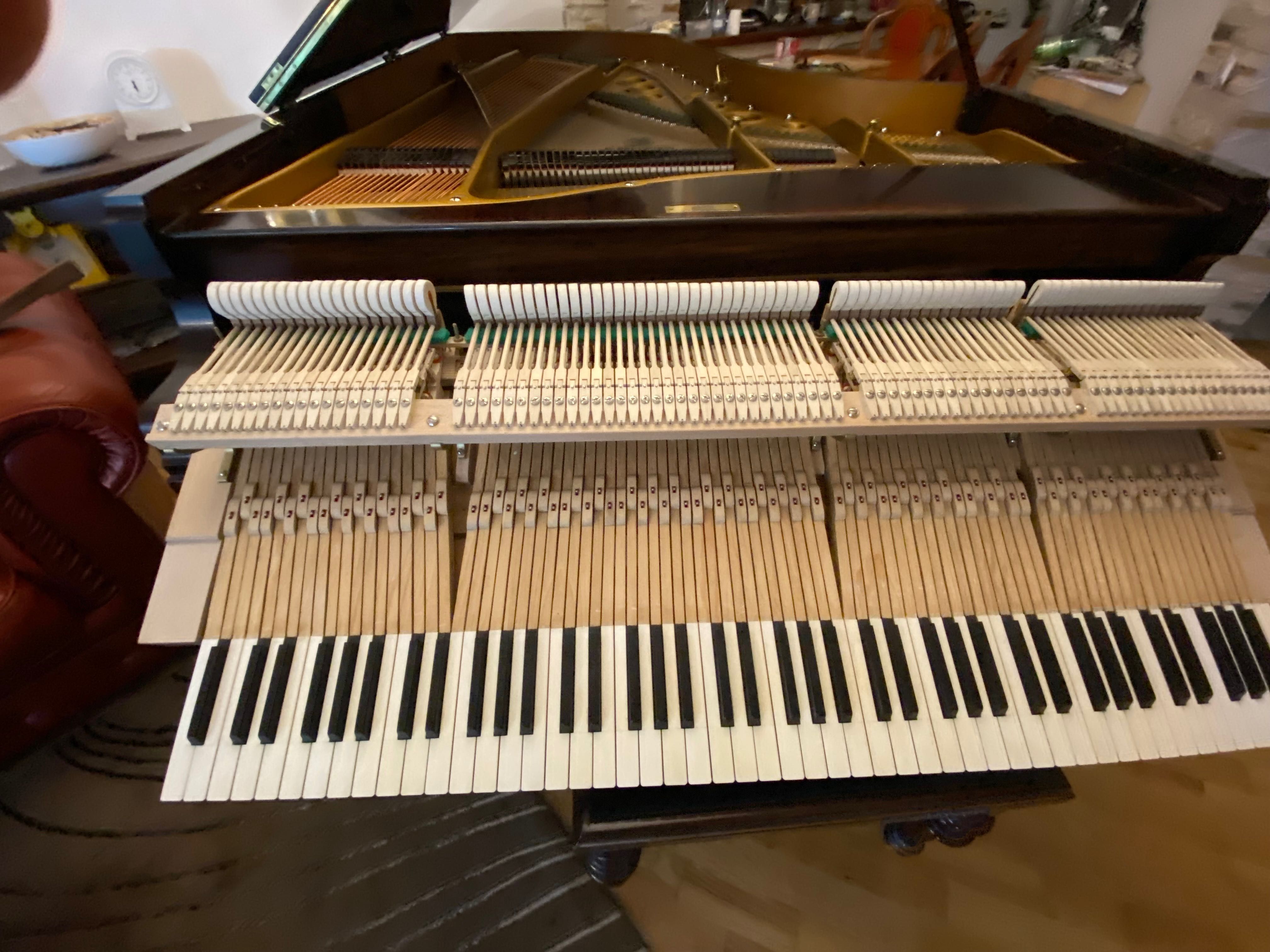 BECHSTEIN-ca și NOU- Pian Concert !