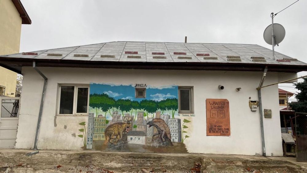 Pictura murala, perete exterior, pictura pe perete