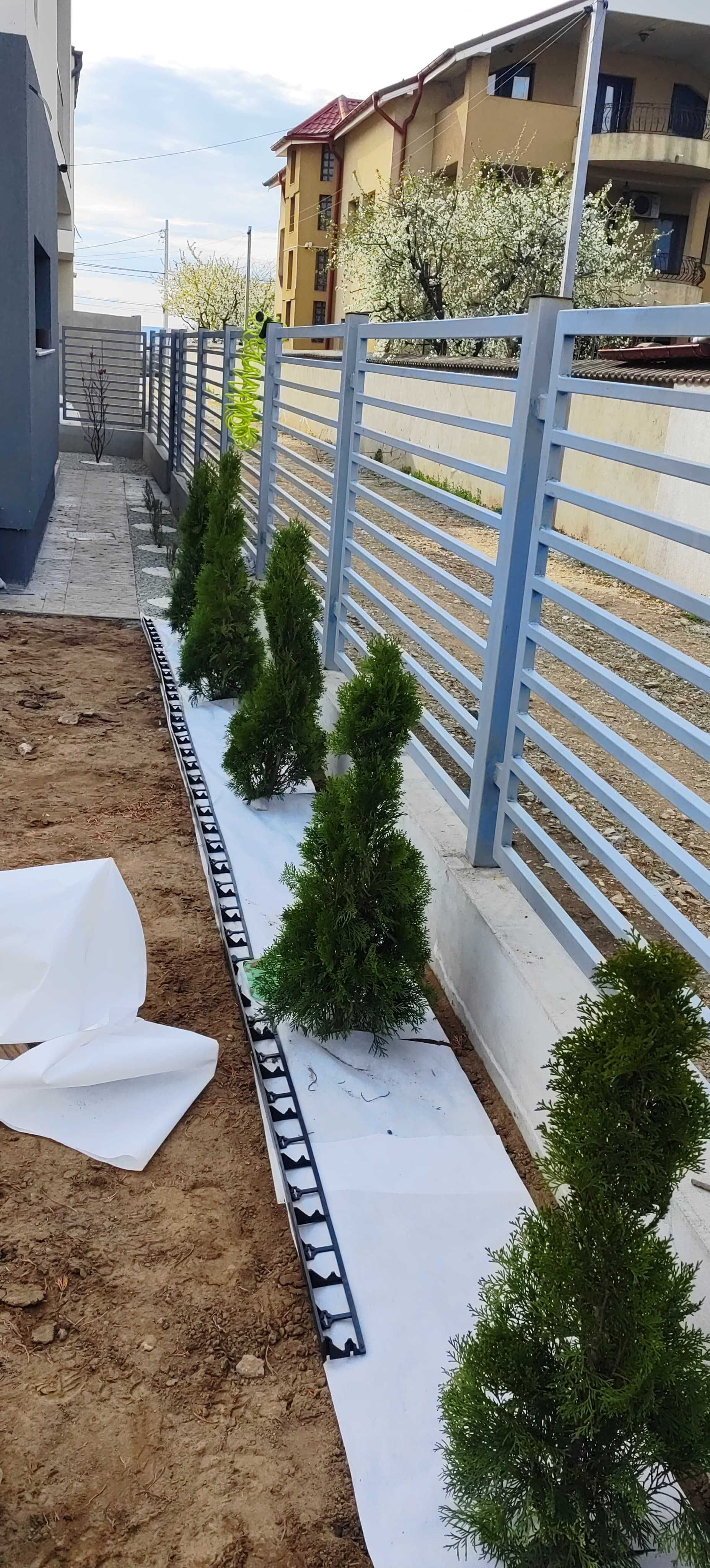 Amenajez gradini, plantare gazon, întreținere