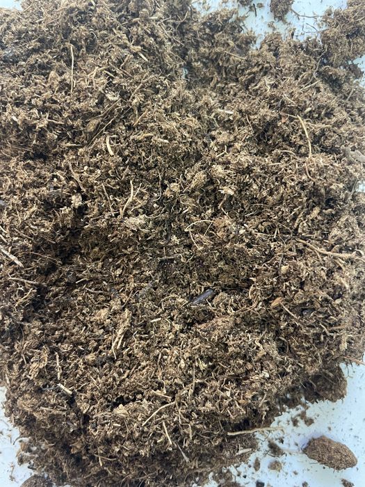 Грунт на основе торфа универсальный