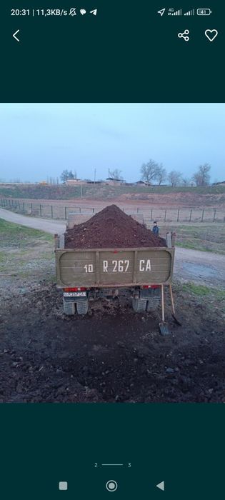 Gong bor toza chirogan musur yo