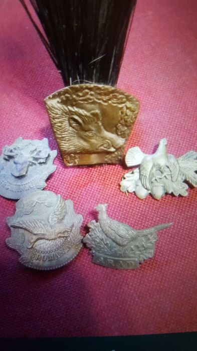 Insigne vechi,vânătoare