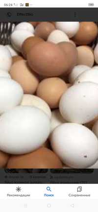Яйцо домашние  60тенге