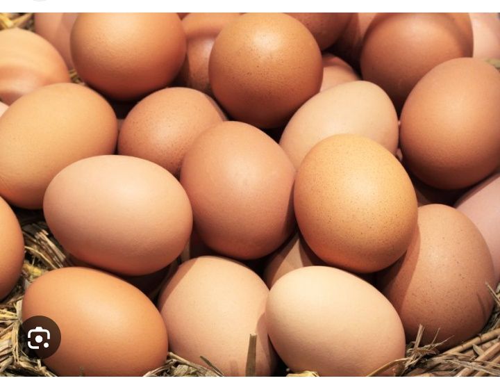 Oua  de la găini mixte pentru incubație