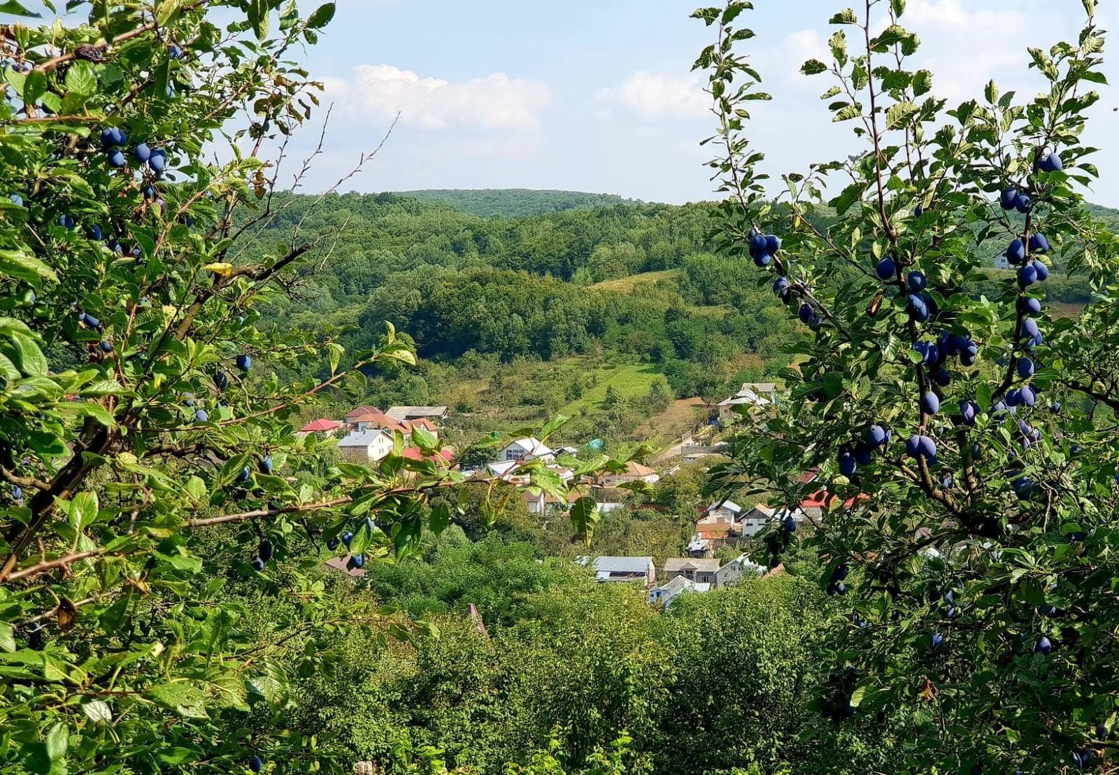 Teren Valea Mare la 2 km Pitești