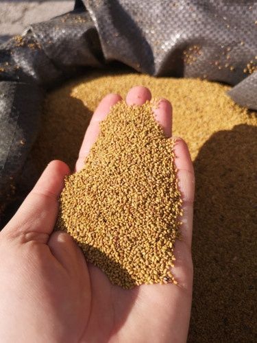 Семе за люцерна Приста 2025г