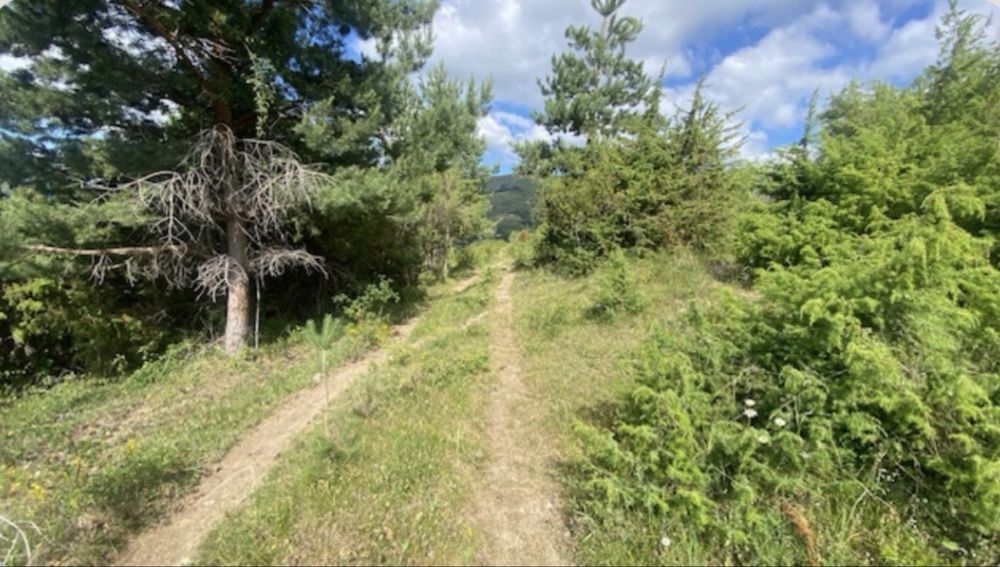 Terenuri Ramet - Muntii Apuseni