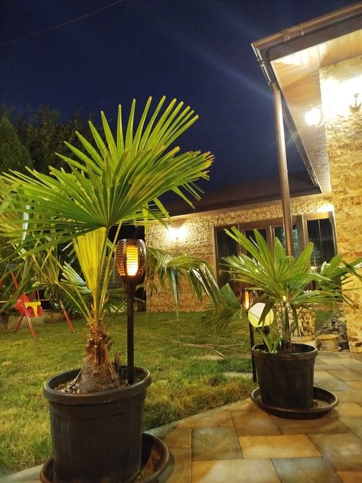 Casa. vila, clădire de vânzare 427 Iași, Lunca Cetatuii