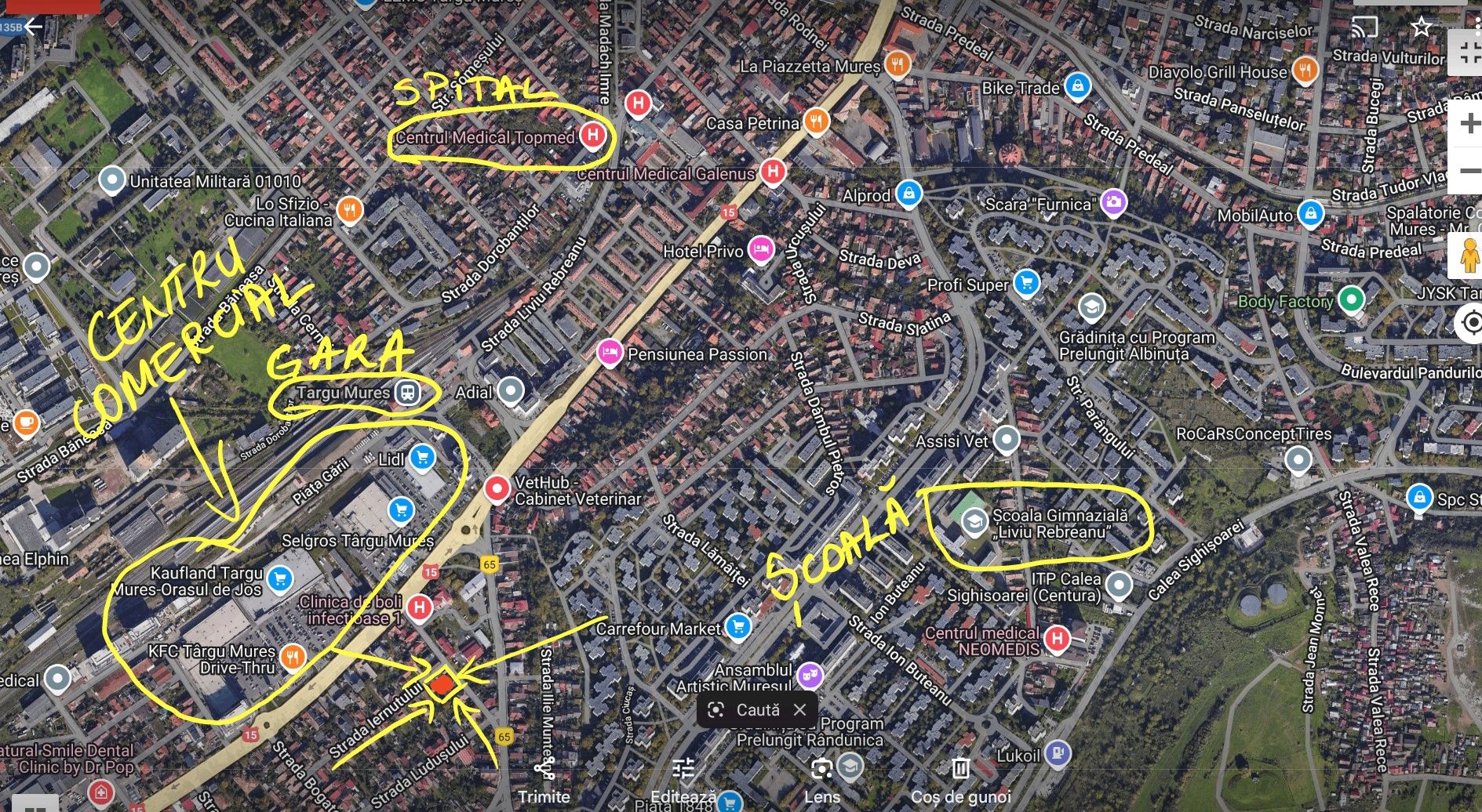 Casa cu curte și dependințe in zona centrala