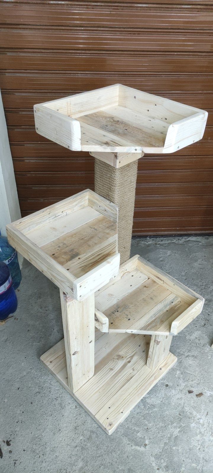 Котешка катерушка дърво