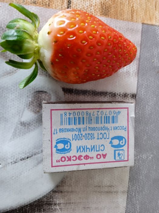 Продам саженцы ремонтантной клубники