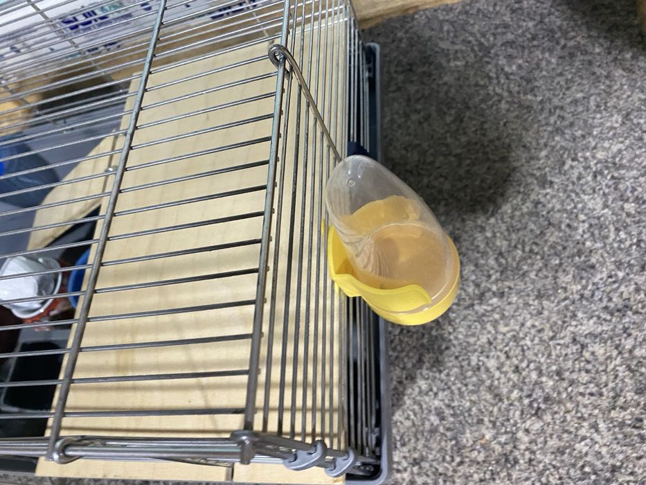 Cusca hamster 55x31x25