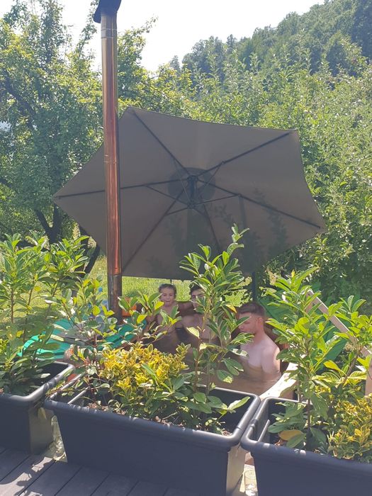 Cazare Vadu Crisului Casa din Padure- relaxare, wekend, munte
