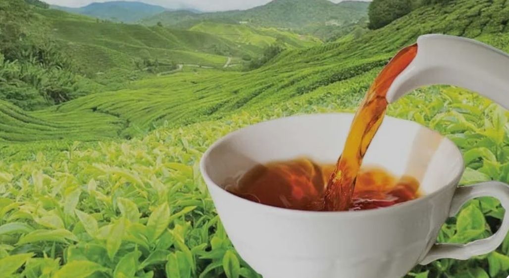 Пакистанский чай хорош