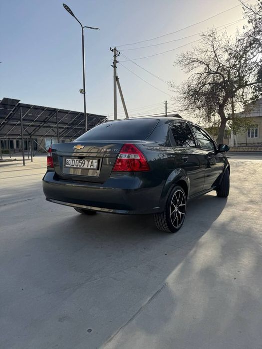 Nexia3 alo darajada