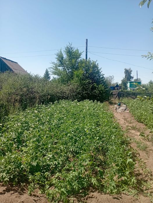 Дача в п.Новодолинка, "Цветущий сад""