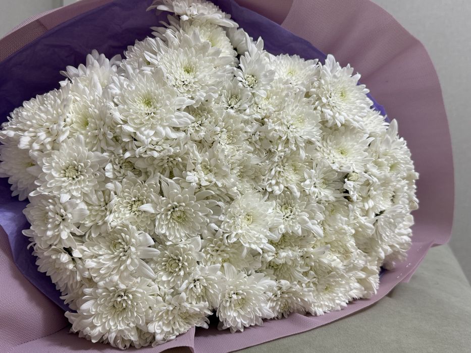 Хризантема большой букет