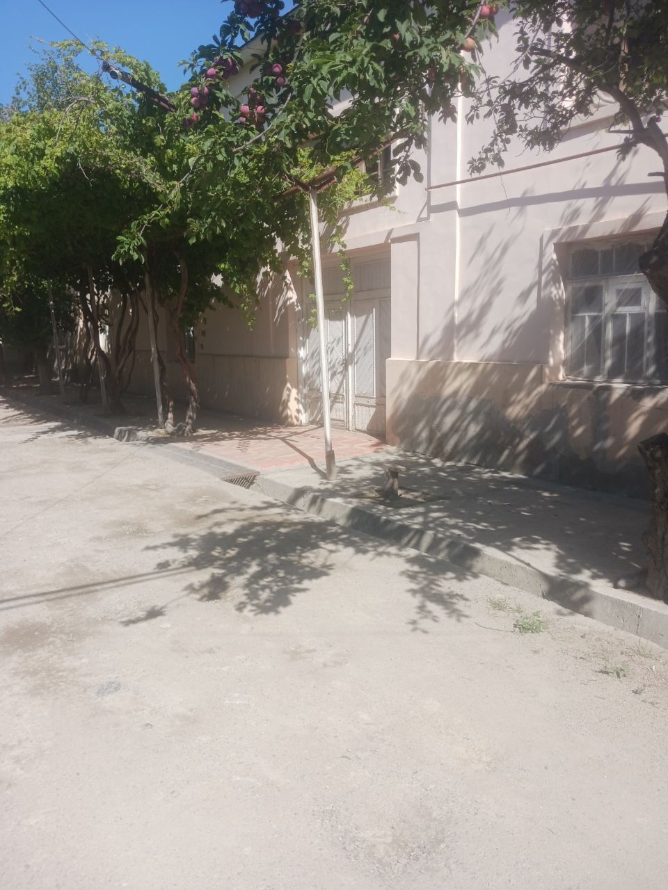 Uy sotiladi adres Femili muz saroy