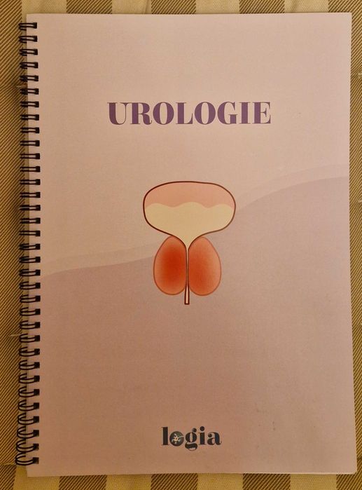 Planse Logia si flashcarduri