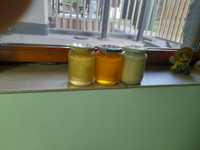Vând miere cruda de albine cu buletin de analize prod. 2024