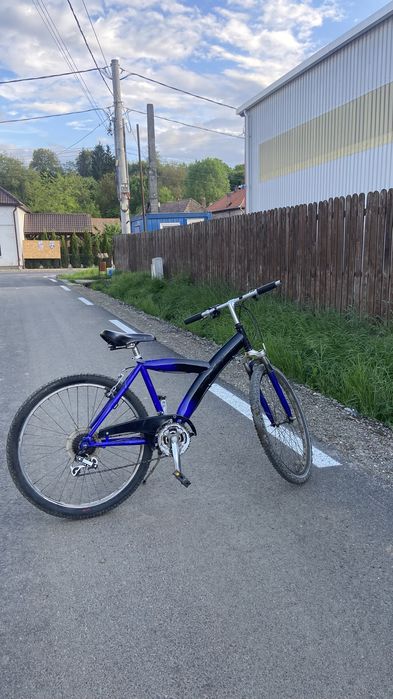 bicicleta pegasus