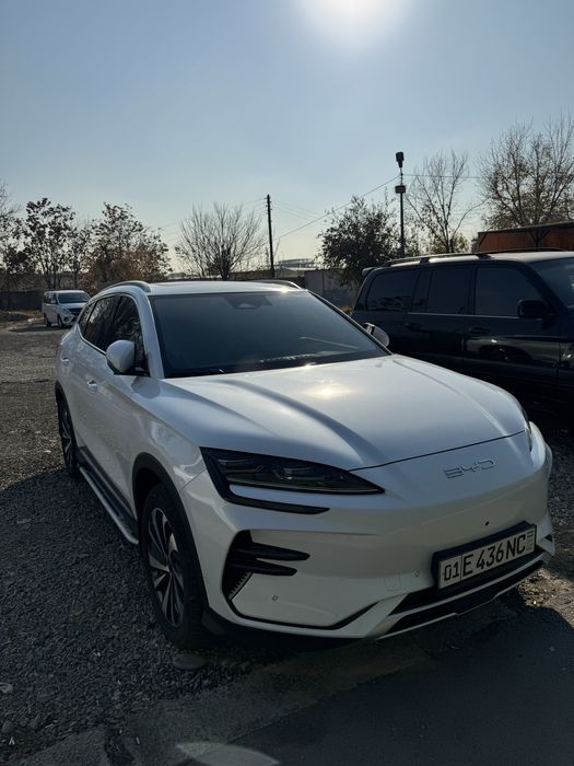 Byd Chempion Honor Sotiladi