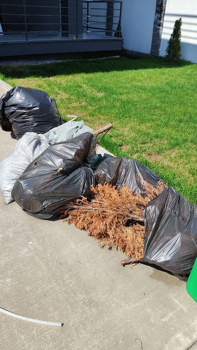 Вывоз мусора. Вывоз мебели