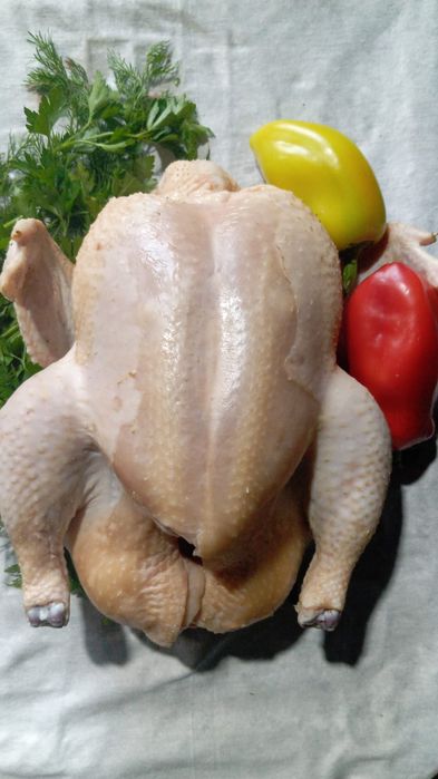 В продаже домашнее мясо бройлера. Индейки. Гуся. Цесарки.