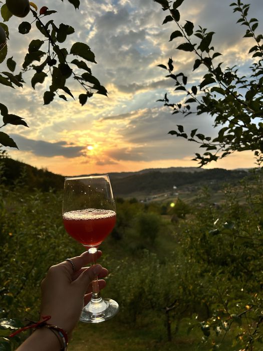 Suc de mere 100% NATURAL