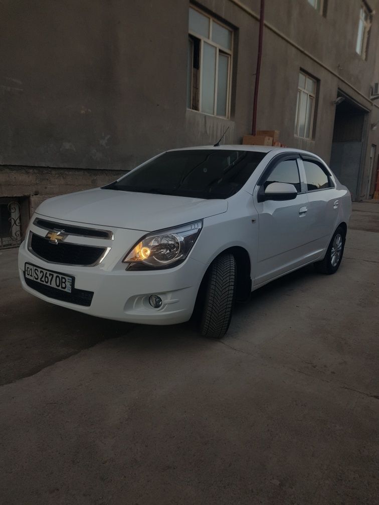 Cobalt 2021 yil,padagref sidenyalik