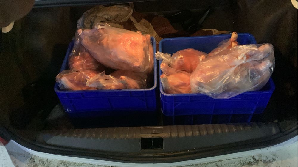 Курица бройлера продам мяса