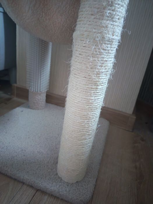 Asamblu pentru pisici