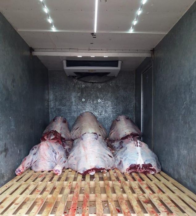 Мясо говядины телятины конины