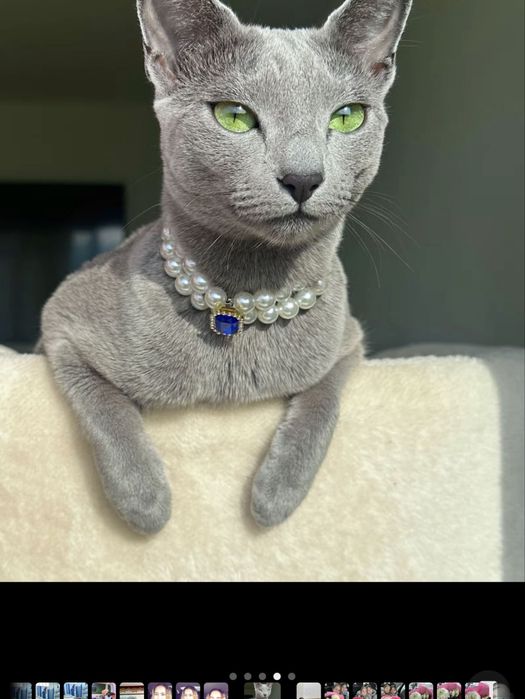 Классический массаж