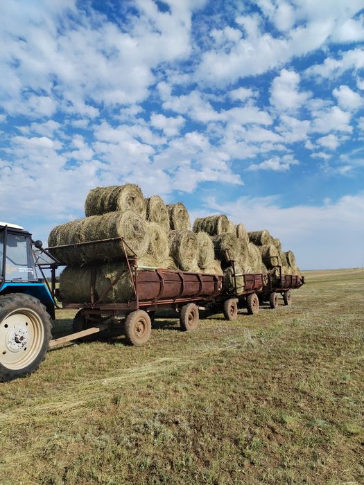 Продам сено рулоны
