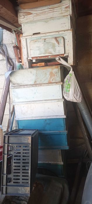Магазини за Кошери