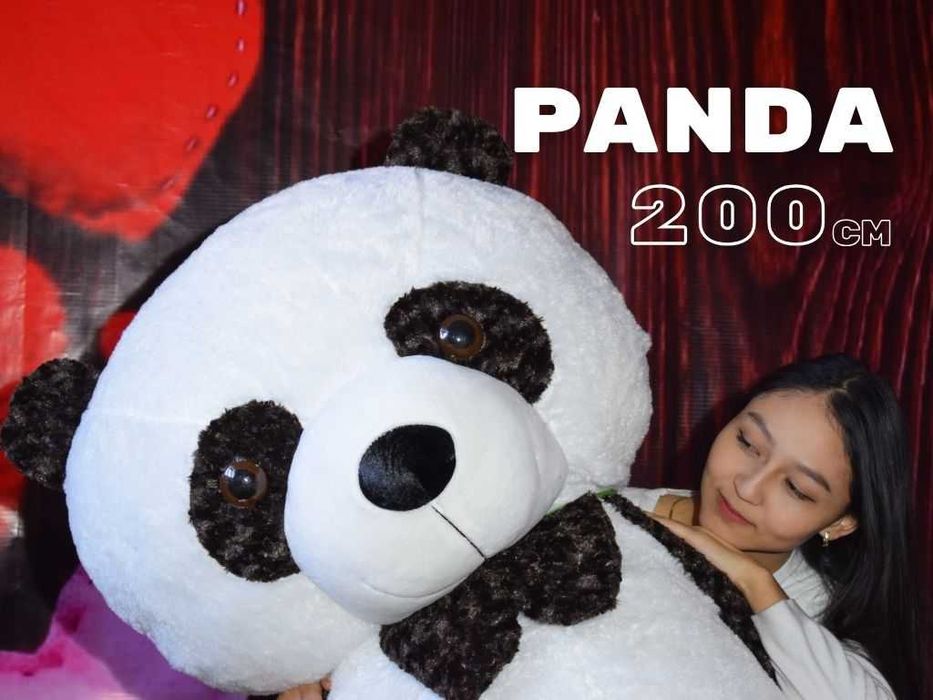 ТУРКЕСТАН МИШКА Мягкие Игрушки Плюшевые Мишки Подарки Цветы Букеты