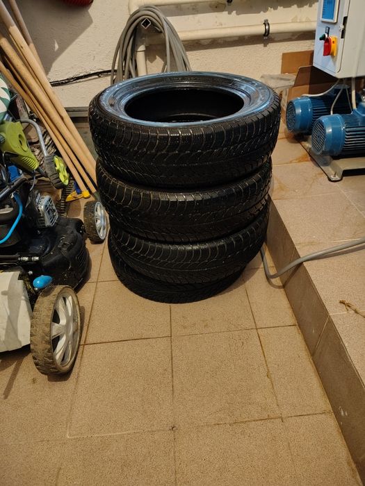 Anvelope iarna debica frigo 2