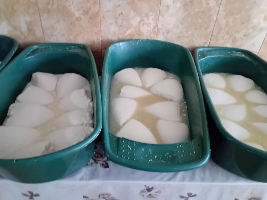 Branza veche de oaie