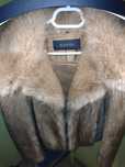Blană naturală Gucci , Castor Fiber , Raritate !
