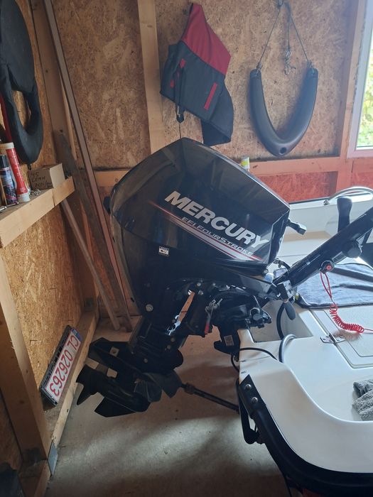 FIBROMARINE 380 an 2021+ motor Mercury 15 cp an 2022