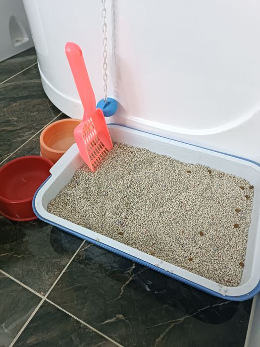 Mushuk Nunu sotiladii