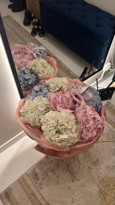 цветы гортензия.