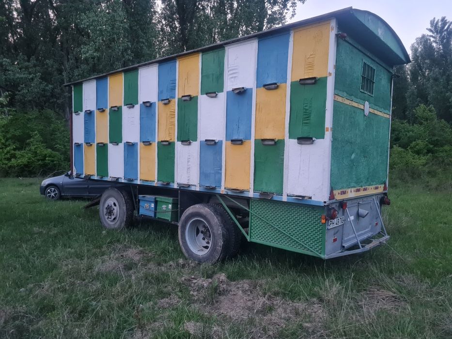 Vând pavilion apicol