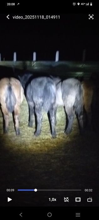 Мугалжар 1 категория донендер с