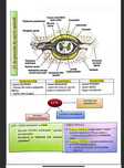 Admitere medicina