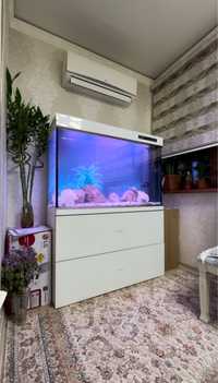 Чистка аквариума | Akvarium tozalash hizmati
