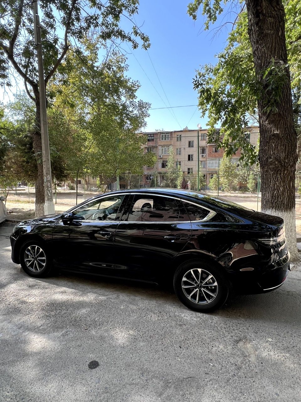 BYD Chazor 2 pozitsa Gibrid