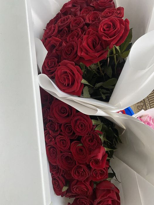срочно продам метровые розы 75 шт