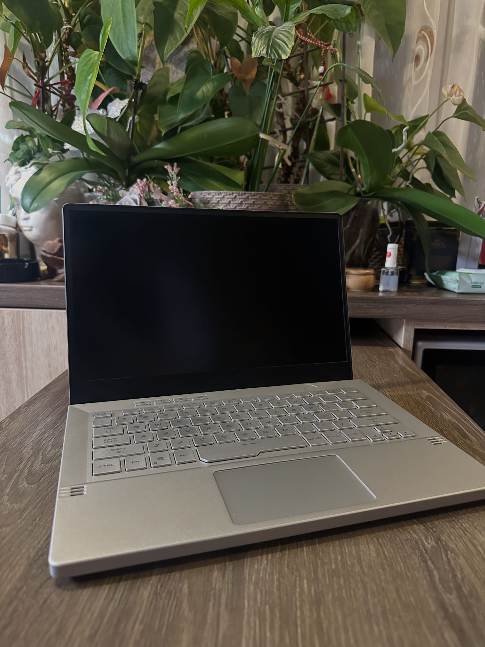Asus Rog Zephyrus G14 - Ryzen 9 5900, RTX 3060, 1TB SSD NVME, 24GB RAM